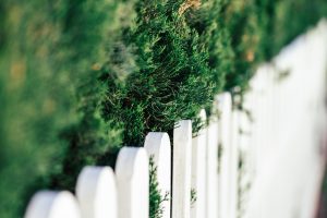 Fence Installation Charleston SC